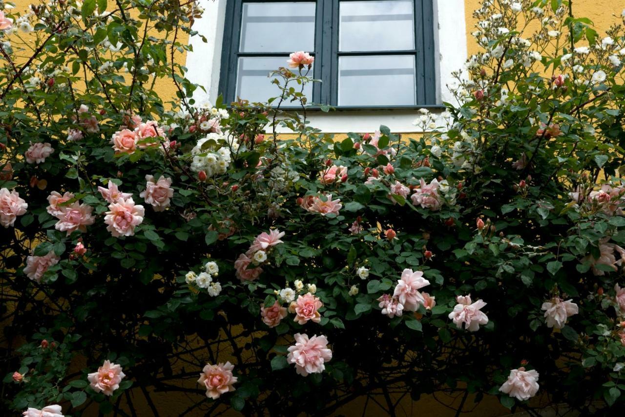 Marienschloessl Bed and Breakfast Wiedendorf Buitenkant foto