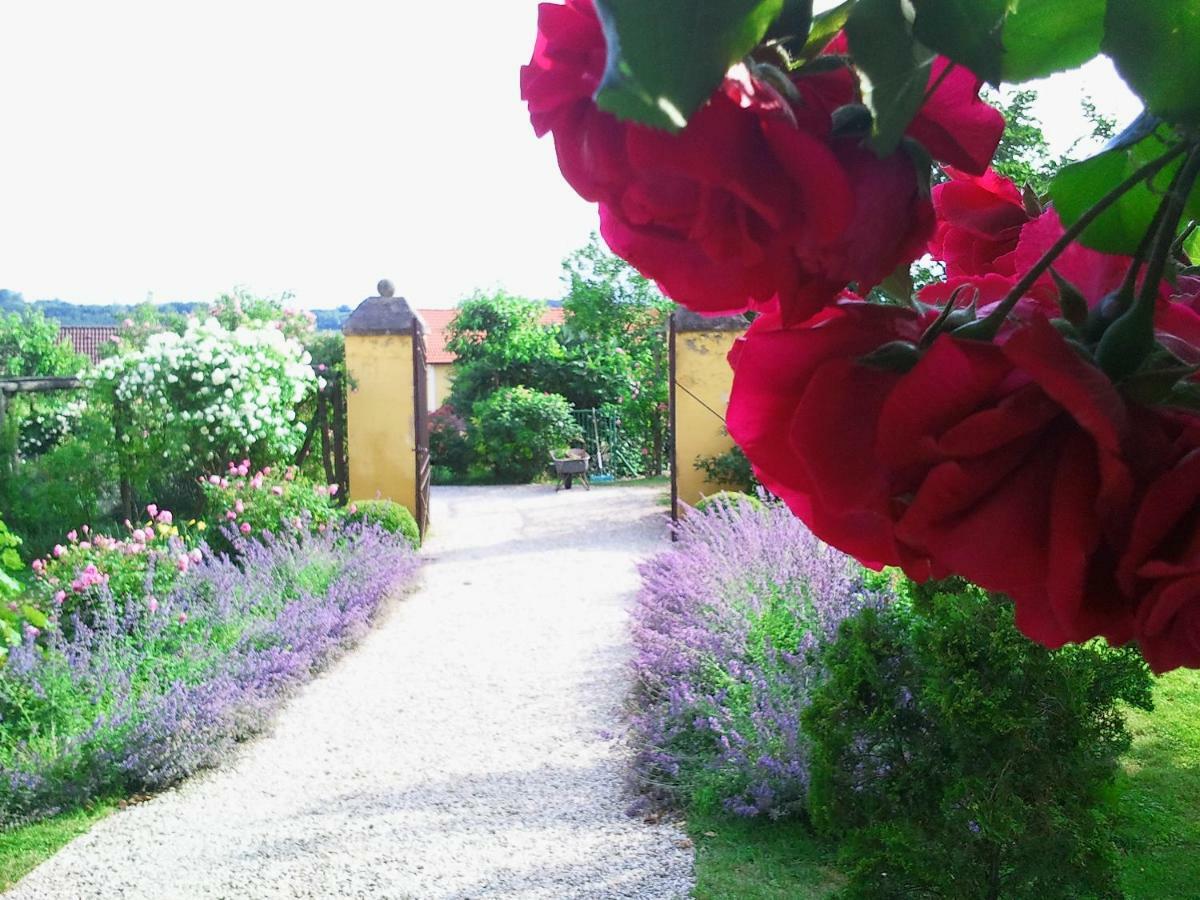 Marienschloessl Bed and Breakfast Wiedendorf Buitenkant foto